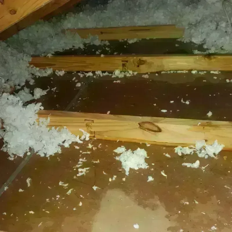 Attic Water Damage in Citrus City, TX