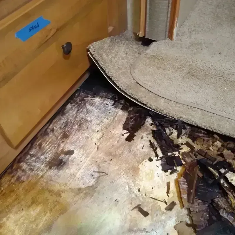 Wood Floor Water Damage in Citrus City, TX